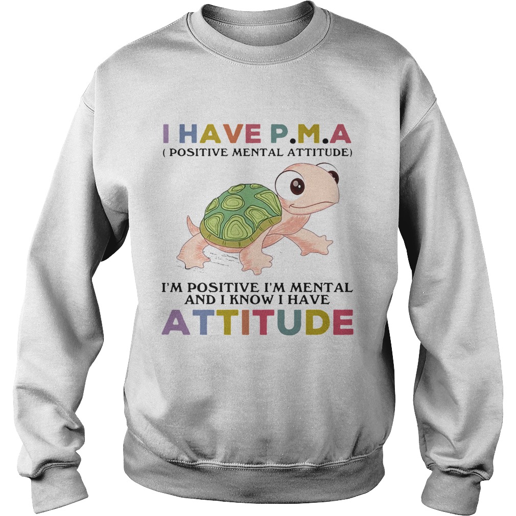 Turtle I Have PM A IM Positive IM Mentally And I Know I Have Attitude Sweatshirt