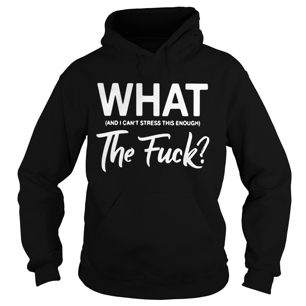 What And I Cant Stress This Enough The Fuck Hoodie