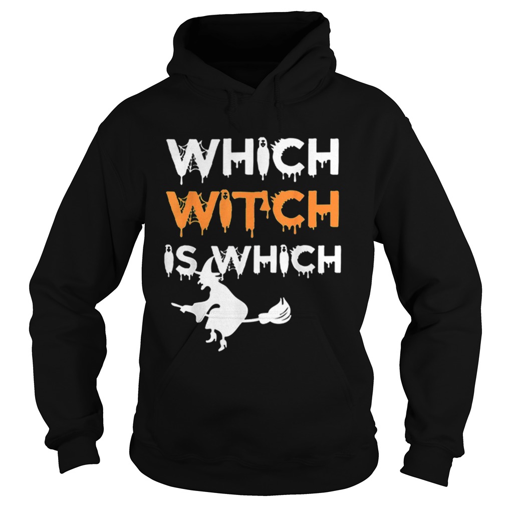Which Witch Is Which Funny Halloween English Teacher Hoodie