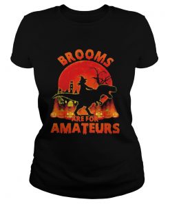 Witch Riding Dinosaurs Brooms Are For Amateurs Halloween  Classic Ladies