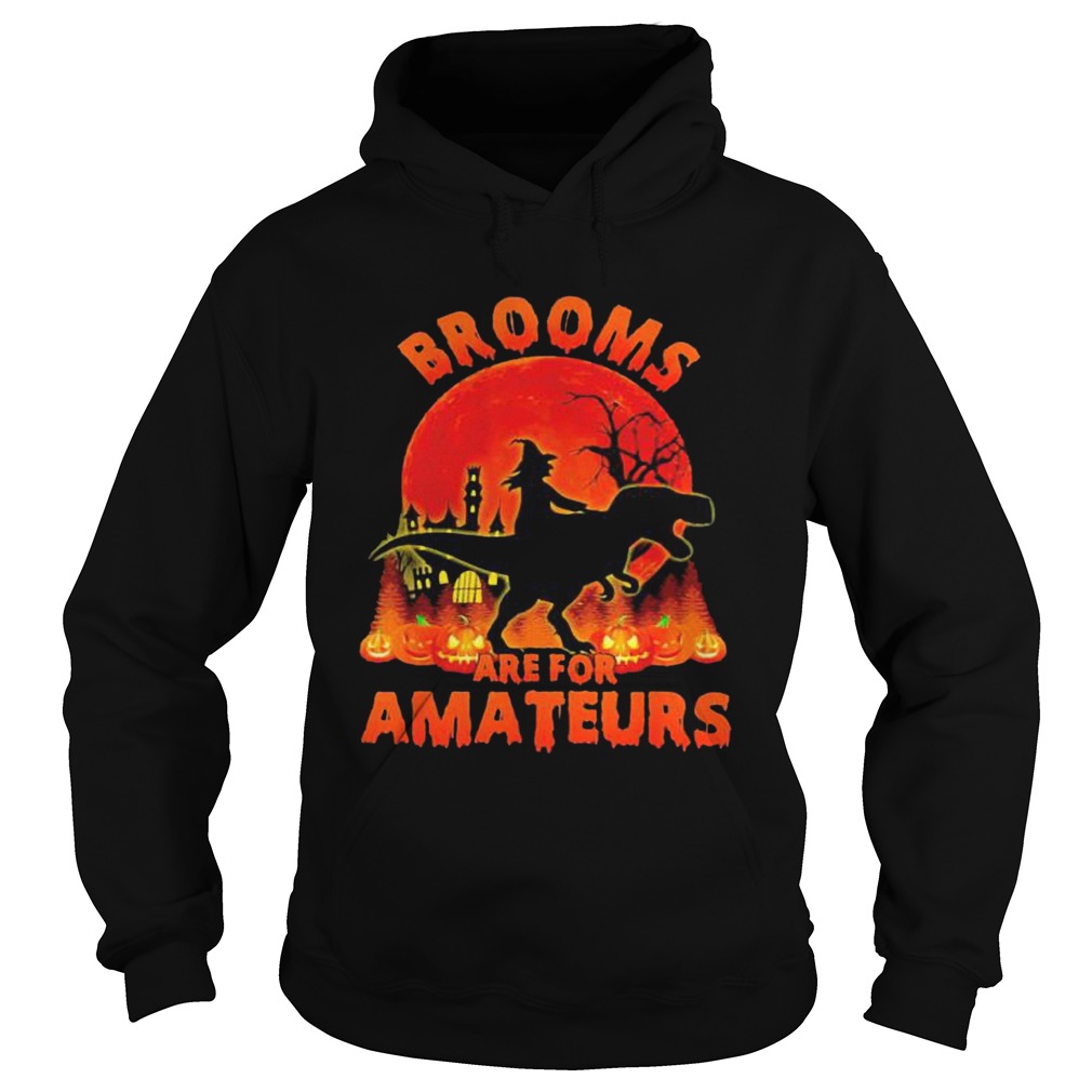 Witch Riding Dinosaurs Brooms Are For Amateurs Halloween Hoodie