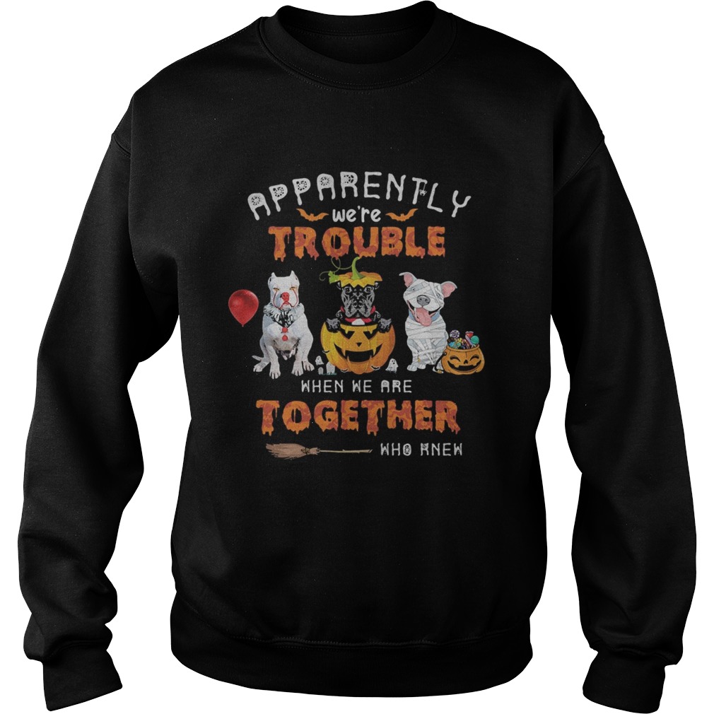 Apparently Were Trouble When We Are Together Who Knew Pitbull Halloween Sweatshirt