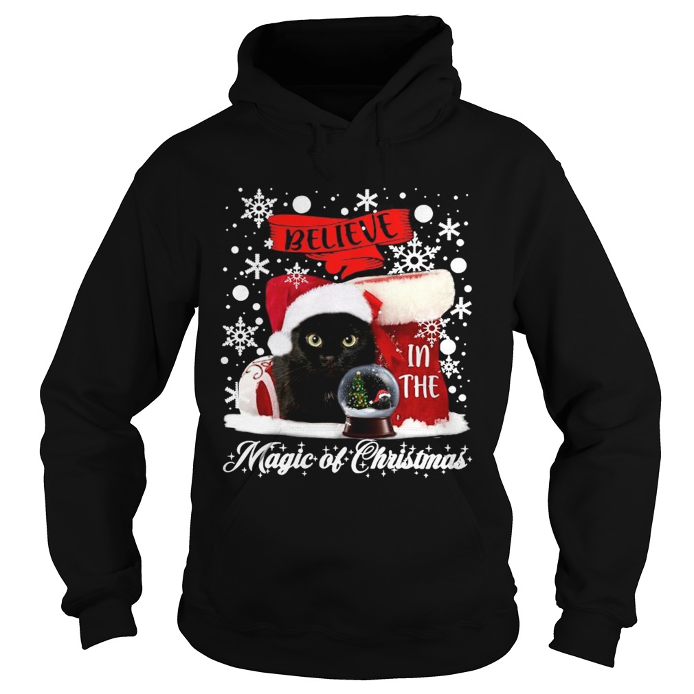 Cat Believe In The Magic Of Christmas Hoodie