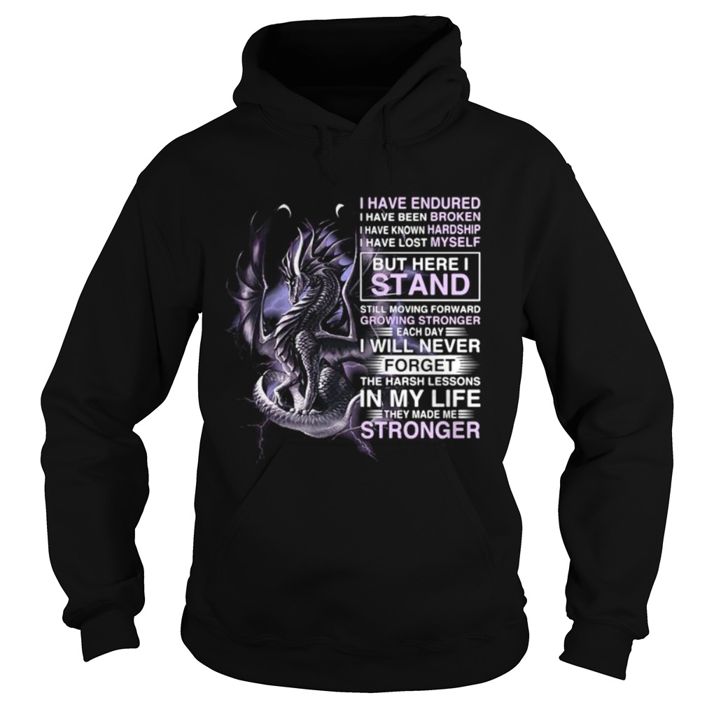 Dragon i have endured i have been broken i have known hardship i have lost myself Hoodie