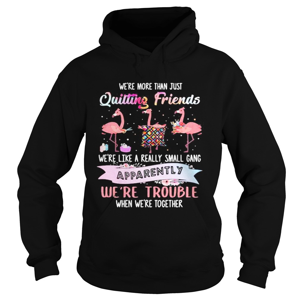 Flamingo were more than just quilting friends were like a really small gang apparently were trou Hoodie