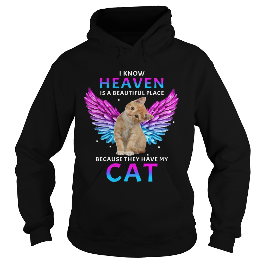 I Know Heaven Is A Beautiful Place Because They Have My Cat Hoodie