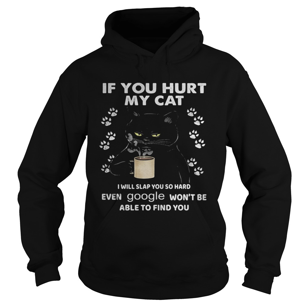 If You Hurt My Cat I Will Slap You So Hard Even Google Wont Be Able To Find You Hoodie