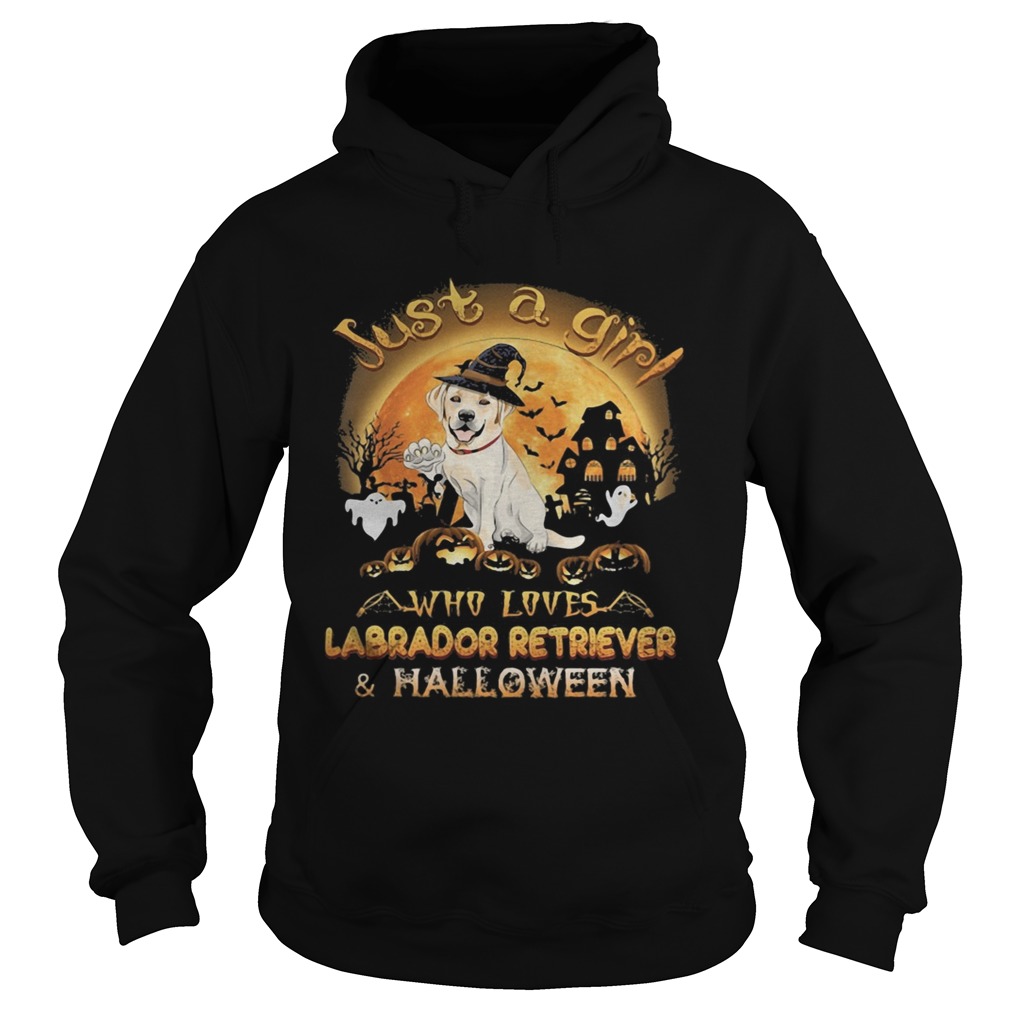 Just a girl who loves labrador retriever and halloween Hoodie