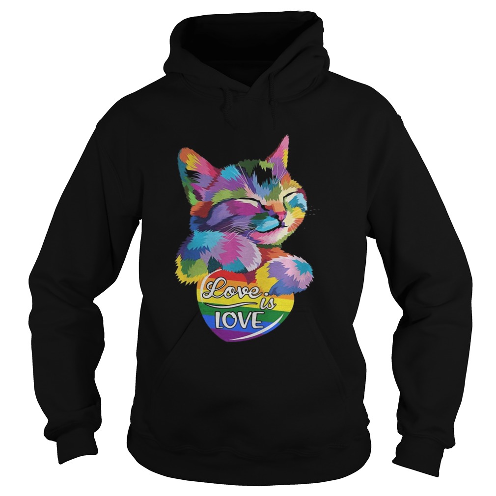 LGBT Cat Love Is Love Hoodie