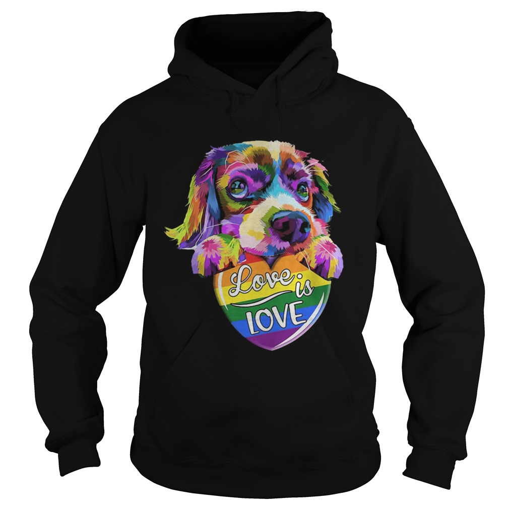 LGBT Dog love is love Hoodie