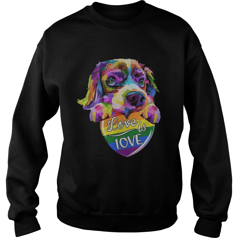 LGBT Dog love is love Sweatshirt