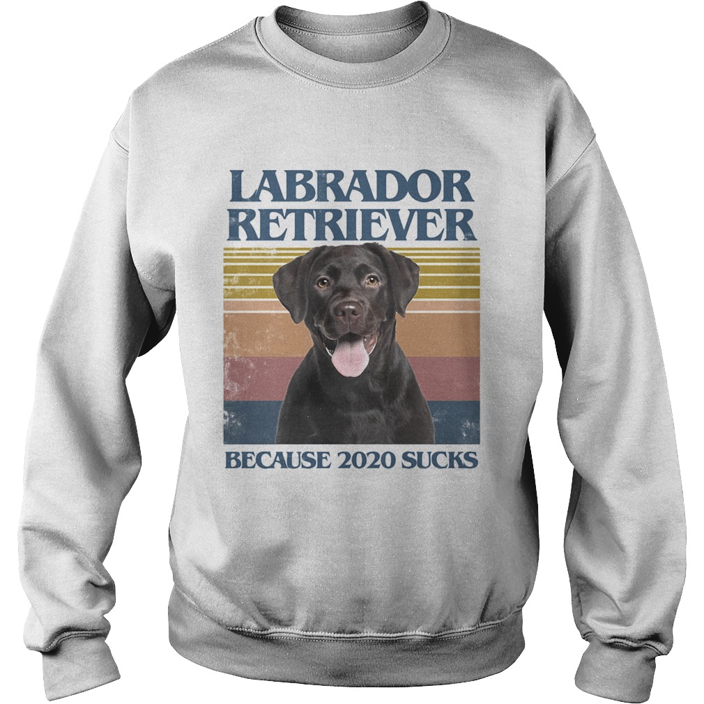 Labrador retriever because 2020 sucks vintage retro Sweatshirt