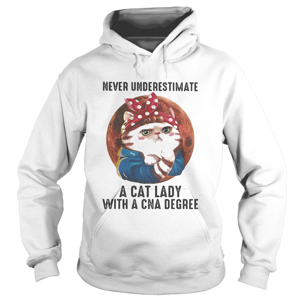 Never Underestimate A Cat Lady With A Cna Degree Moon Hoodie
