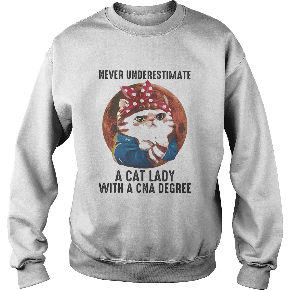 Never Underestimate A Cat Lady With A Cna Degree Moon Sweatshirt