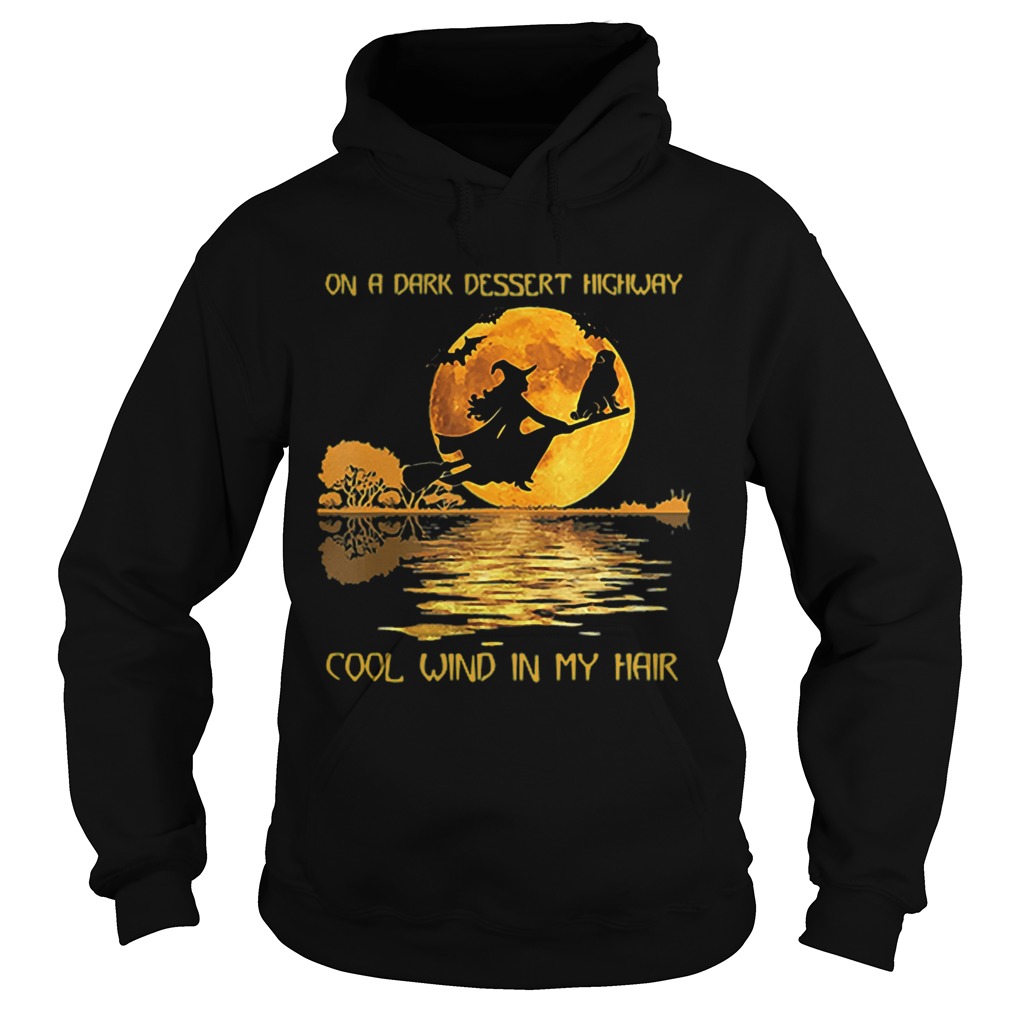 On A Dark Desert Highway Cool Wind In My Hair Witch On Broom Halloween Hoodie