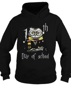 Owl Teacher 100th Day Of School Harry Potter  Hoodie