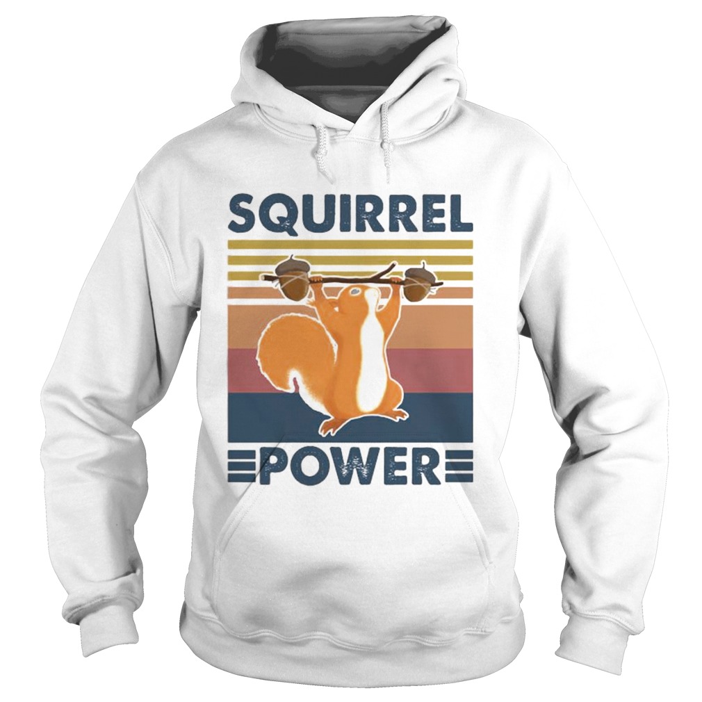 Squirrel power vintage retro Hoodie