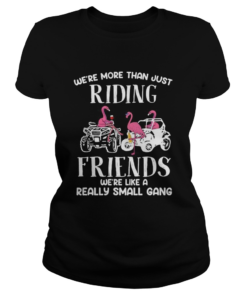 WERE MORE THAN JUST RIDING FRIENDS WERE LIKE A REALLY SMALL GANG ATV FLAMINGOS  Classic Ladies