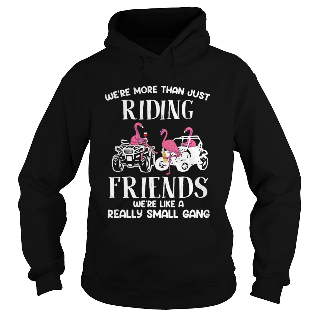 WERE MORE THAN JUST RIDING FRIENDS WERE LIKE A REALLY SMALL GANG ATV FLAMINGOS Hoodie