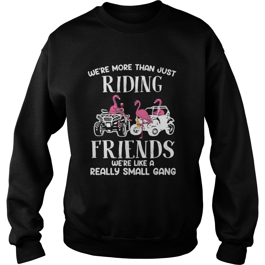 WERE MORE THAN JUST RIDING FRIENDS WERE LIKE A REALLY SMALL GANG ATV FLAMINGOS Sweatshirt