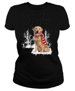 Golden Retriever Merry Christmas shirt