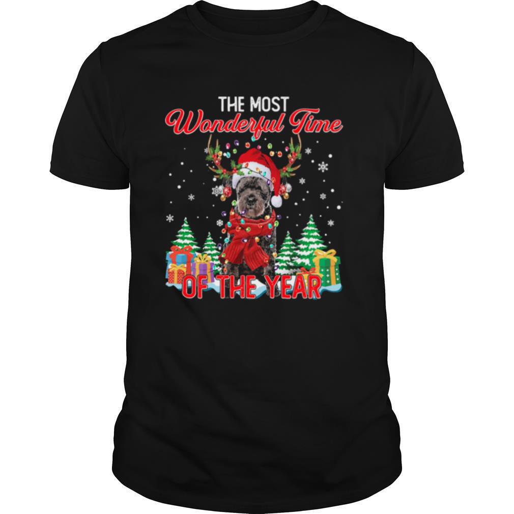 Bouvier Des Flandres Santa the most wonderful time of the year Christmas shirt