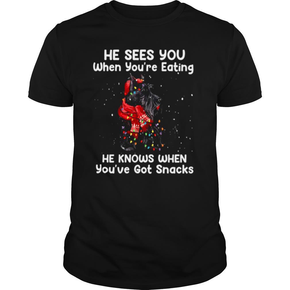 He Sees You When Youre Eating He Knows When Youve Got Snacks shirt