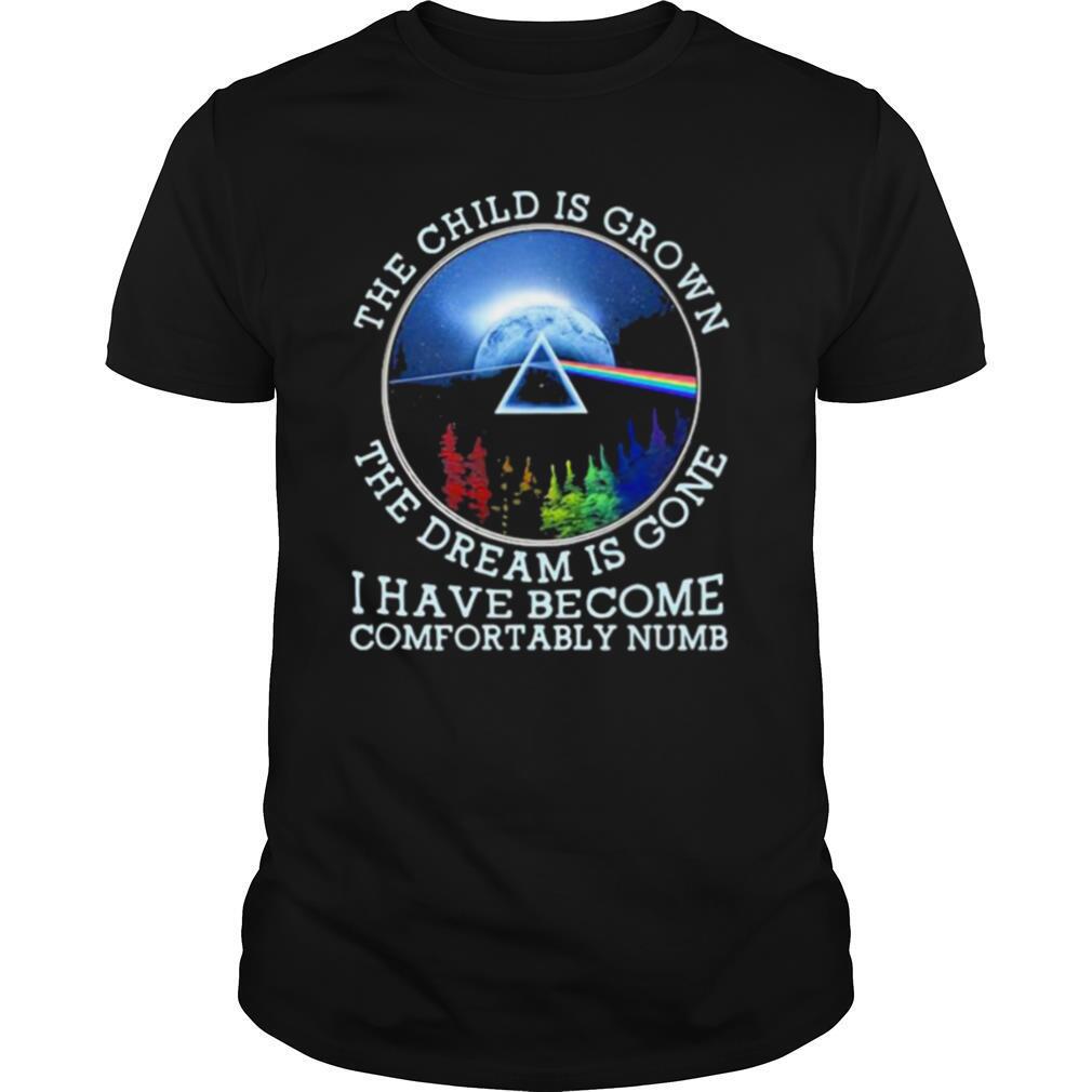 The Child Is Grown The Dream Is Gone I Have Become Comfortably Numb Pink Floyd Lgbt shirt