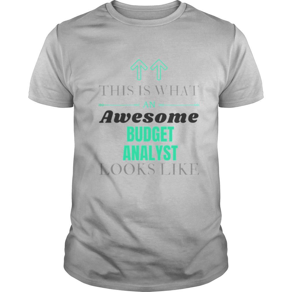 This Is What Awesome Budget Analyst Looks Like shirt