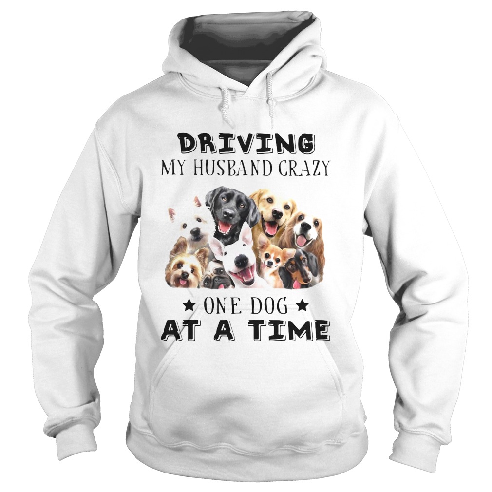 Driving My Husband Crazy One Dog At A Time Hoodie