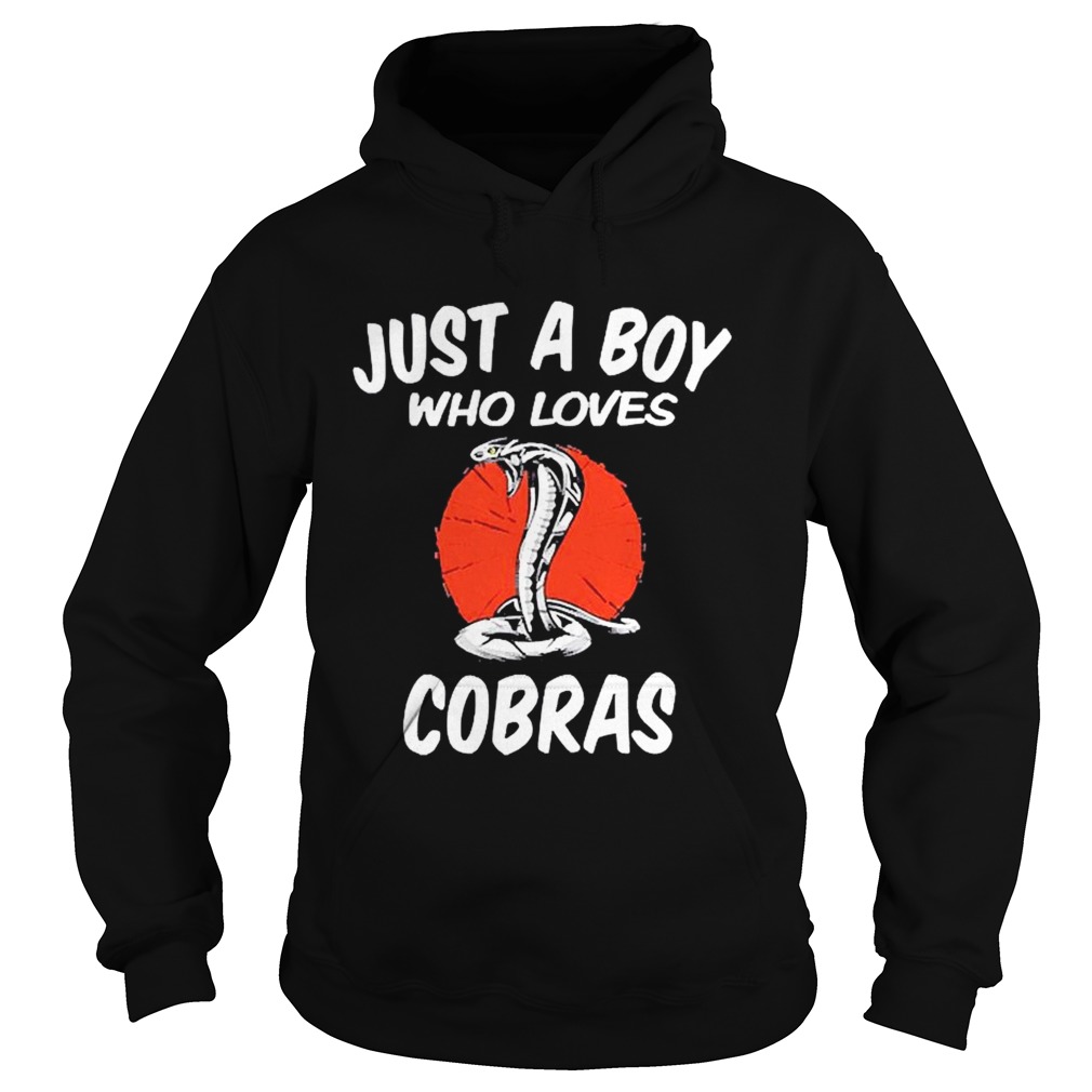 Just A Boy Who Loves Cobras Cobra Snake Hoodie
