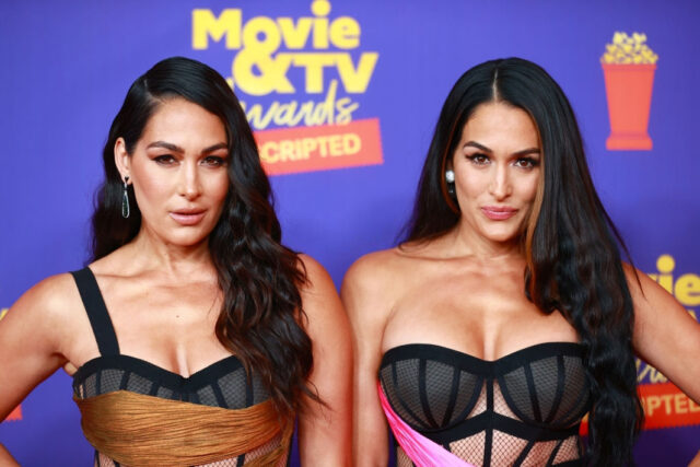 Nikki and Brie Bella Stun In Hot Pink Dress With Corset Bra At MTV Movie & TV Awards