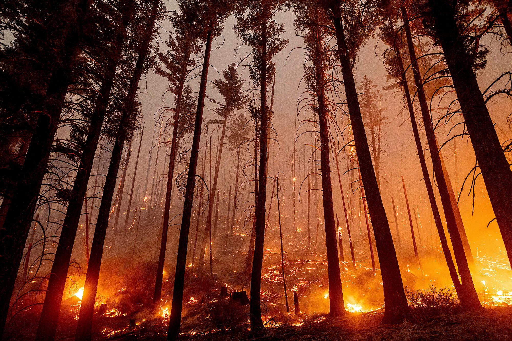 Historic wildfires in western US force ‘critical resource limitations’ as 21K battle blazes