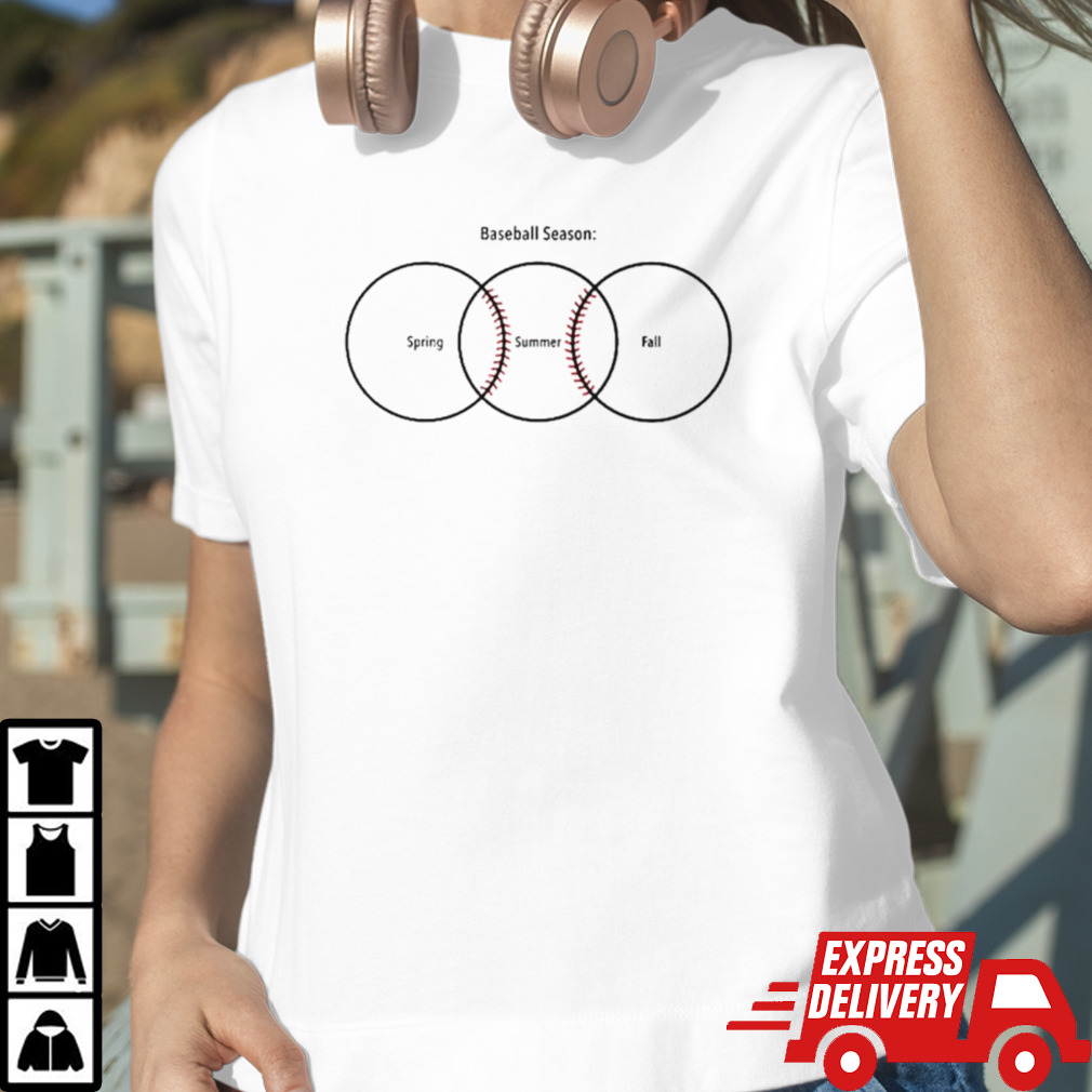 Baseball season spring summer fall Ladies Tee