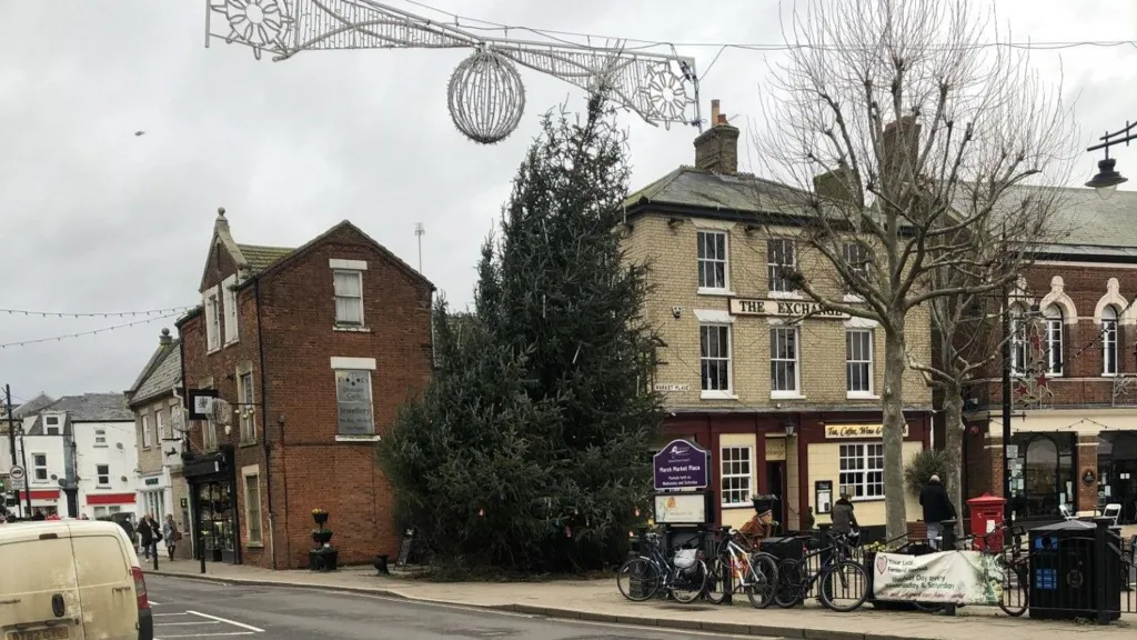 March Town Council says people will have an opportunity to buy a segment of the leaning tree trunk at the town's Christmas fair