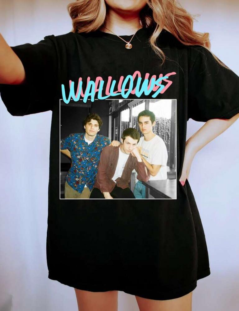 Wallows Boy Band Unisex T-Shirt For Men And Women