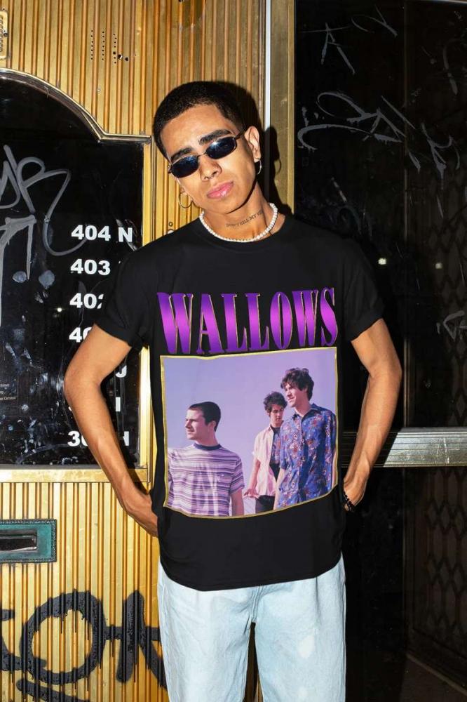 Wallows T-Shirt Music Band Merch