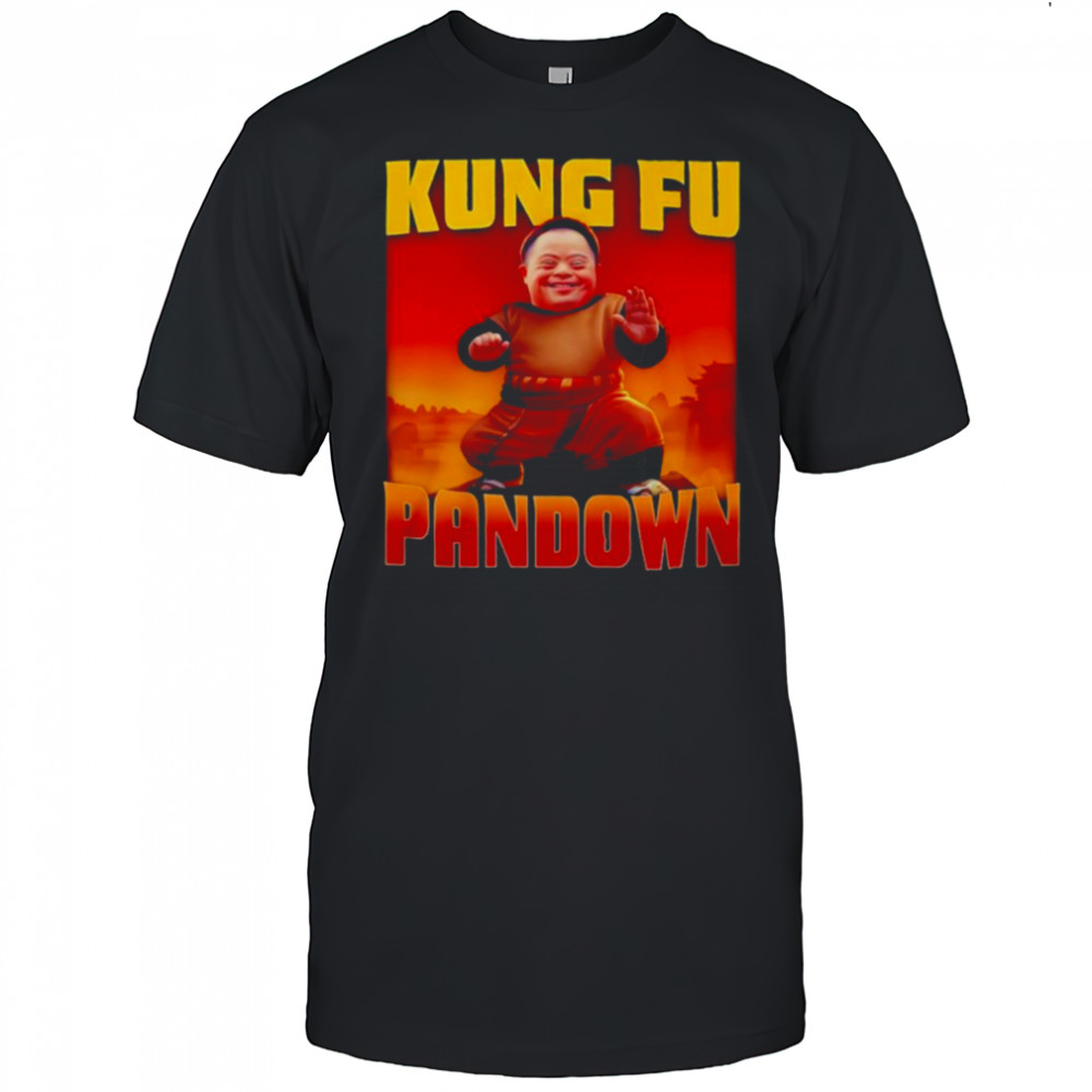 Kung Fu Pandown shirt