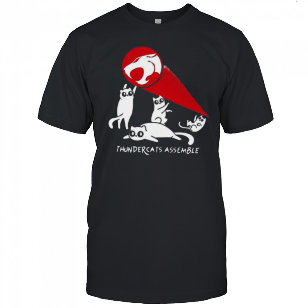 Thundercats assemble shirt