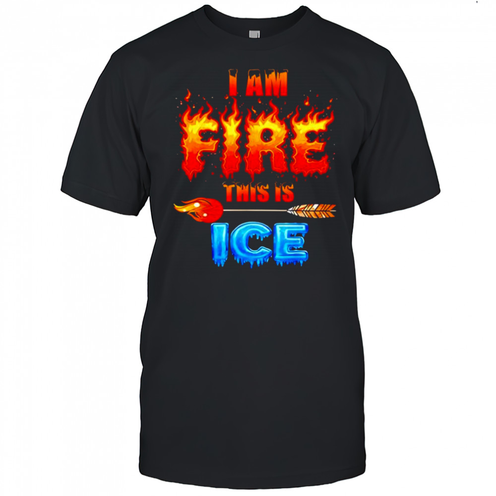 Funny Ice This is Fire Costume Halloween Family Matching shirt