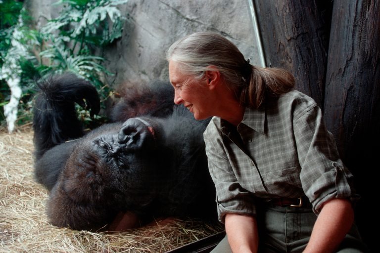 Remembering Dr. Jane Goodall