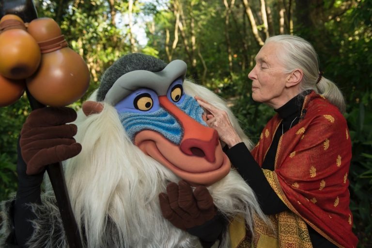 Dr. Jane Goodall meets Rafiki at the Disney Conservation Fund (DCF) 20th anniversary celebration in 2016.