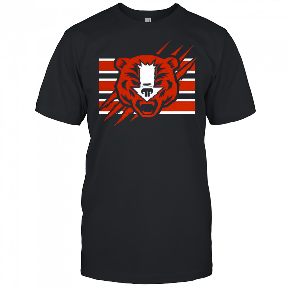 Chicago Bears football logo shirt