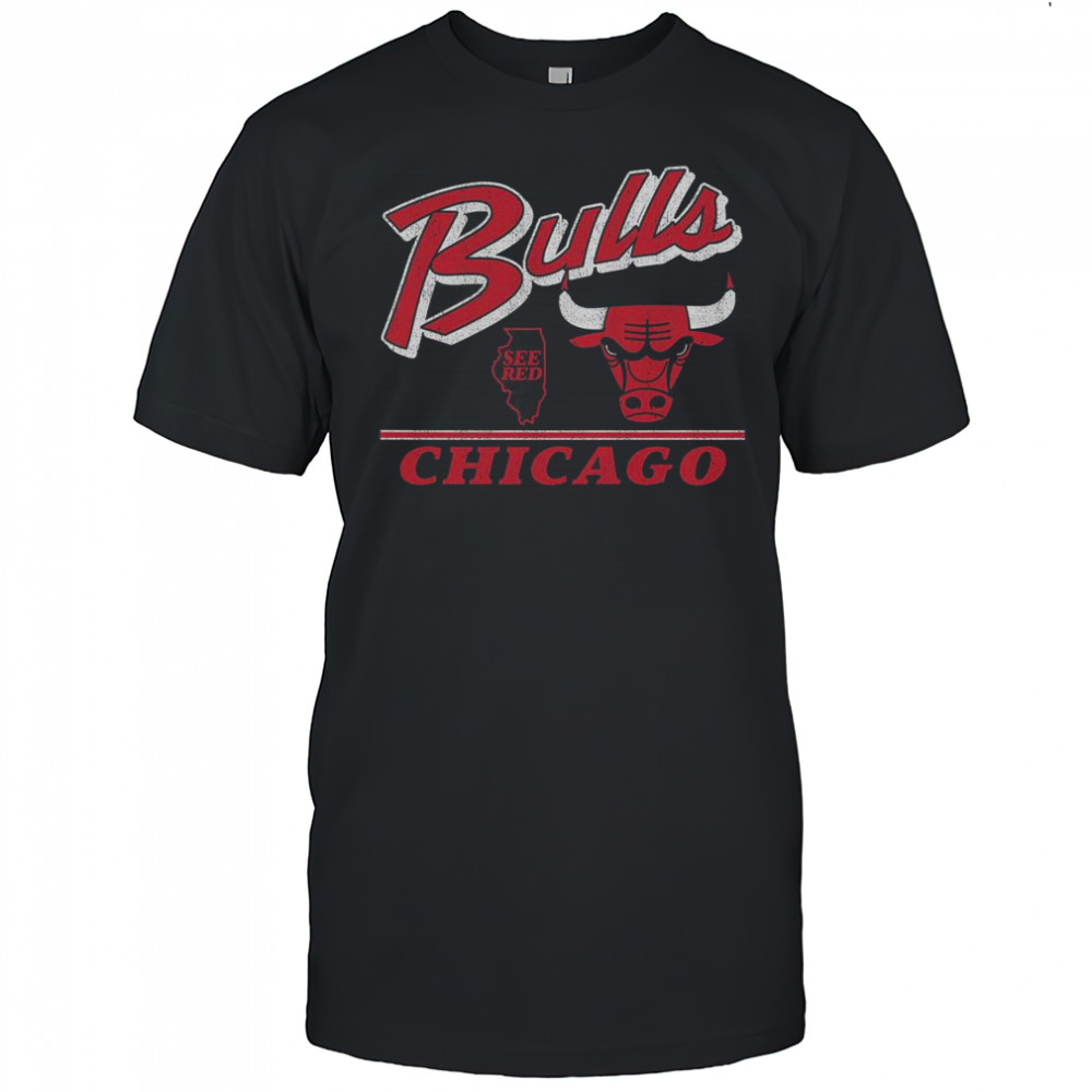 Chicago Bulls Fly By Vintage T-Shirt