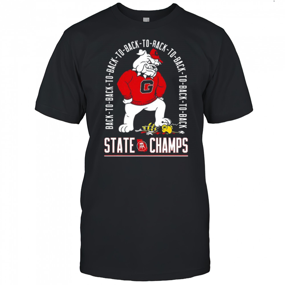 Georgia Bulldogs vs Georgia Tech Yellow Jackets back-to-back State Champs shirt