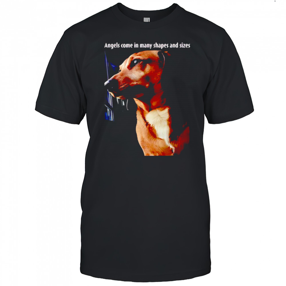 Mark Pellegrino angels come in many shapes and sizes shirt